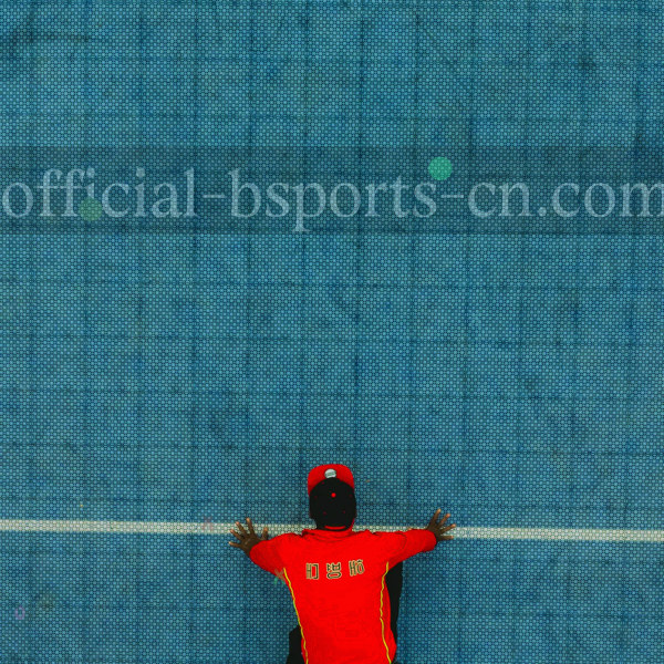 BSPORTS旧版本资料攻略检索界面